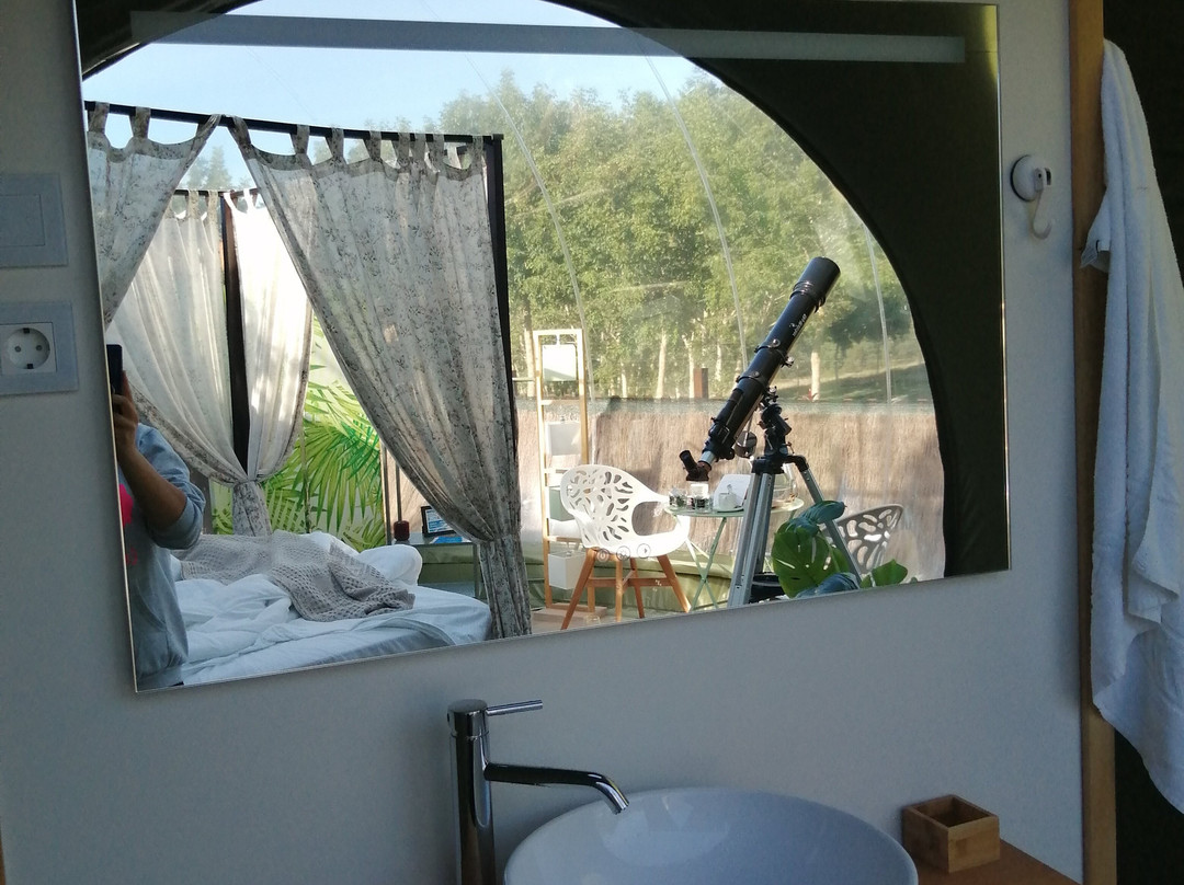 Remanso De Trasfontao Casa Das Arbores & Bubble主图