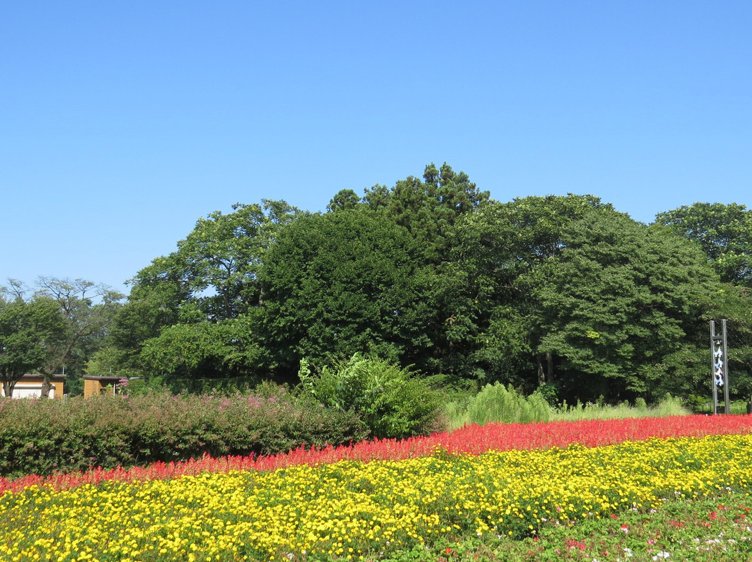 Wagakawa Fureai Park-北上市必去景点