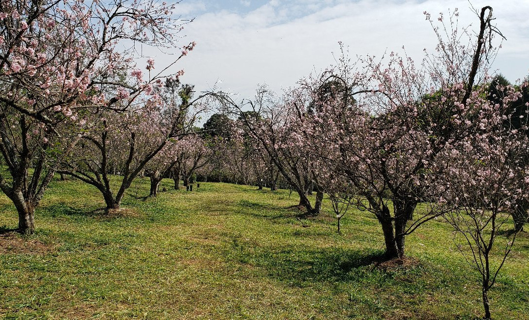 Parque do Carmo-圣保罗必去景点