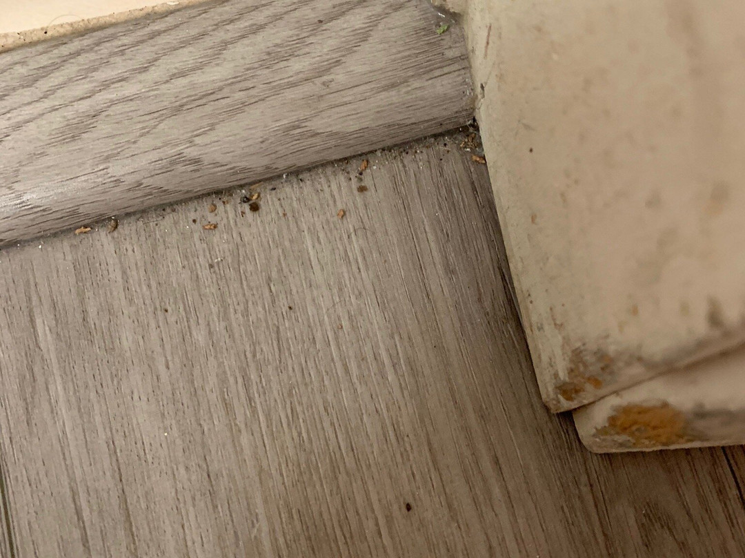 Americas Best Value Inn主图