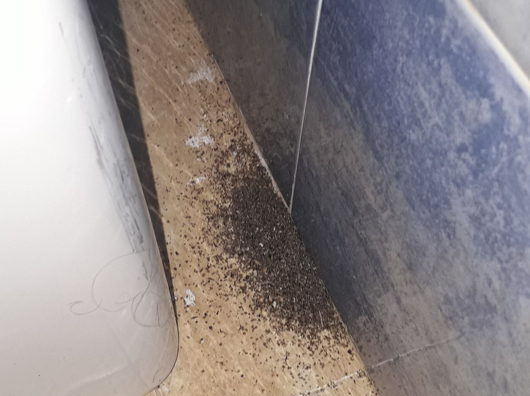 Complejo Turistico Rural Nazaret De Moguer主图