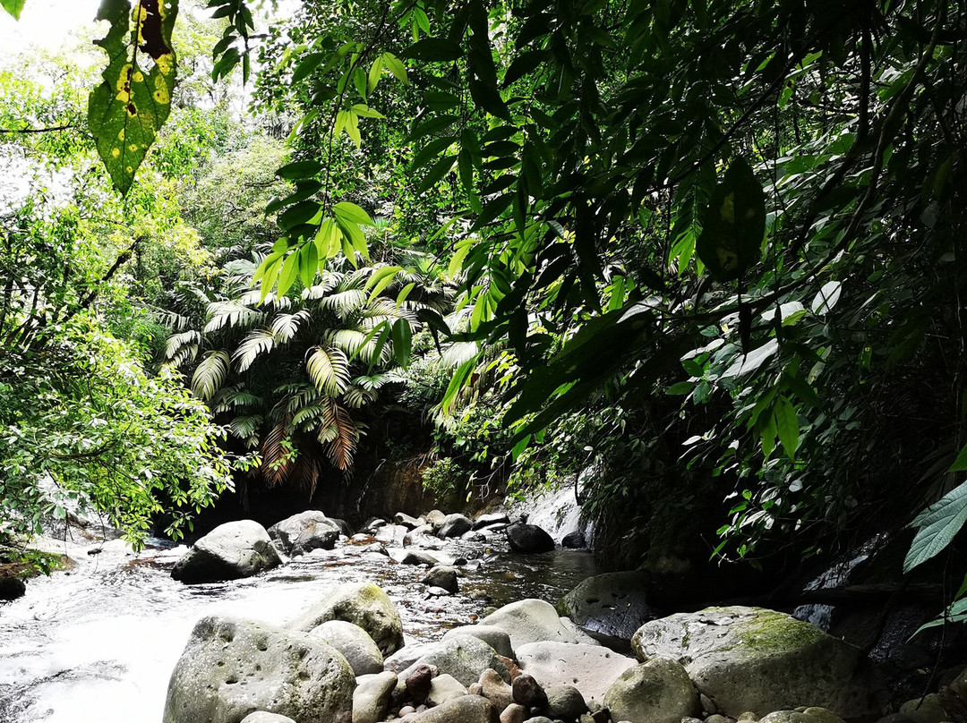 埃托卡诺温泉度假酒店主图