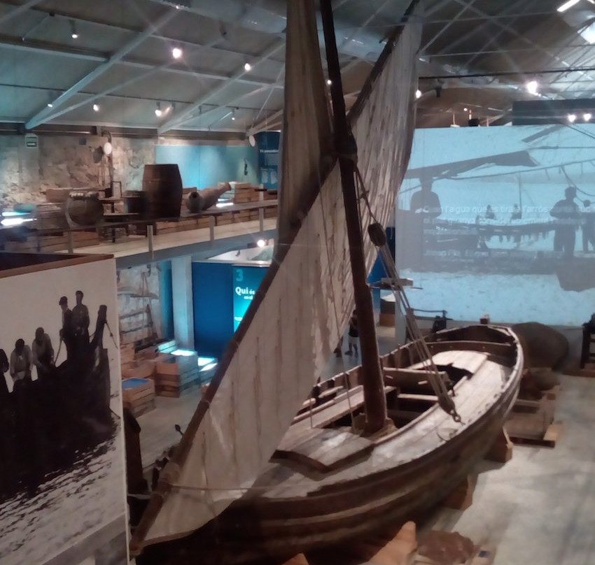 Museu de la Pesca景点图片