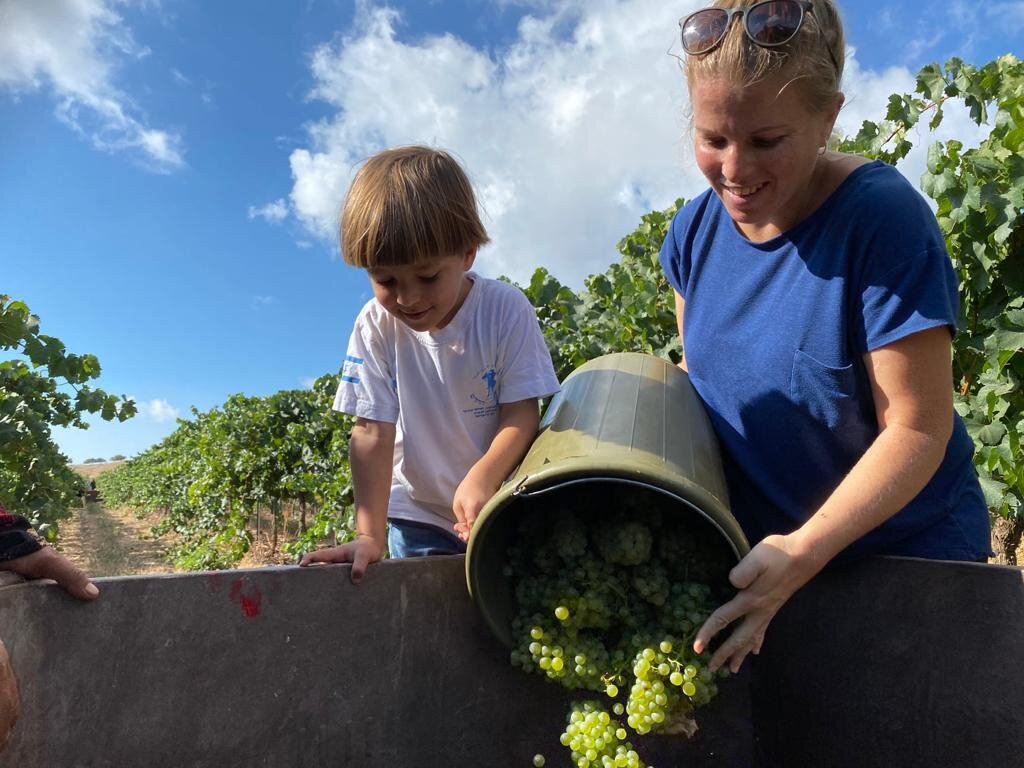 Ben Zimra Winery-Kerem Ben Zimra必去景点