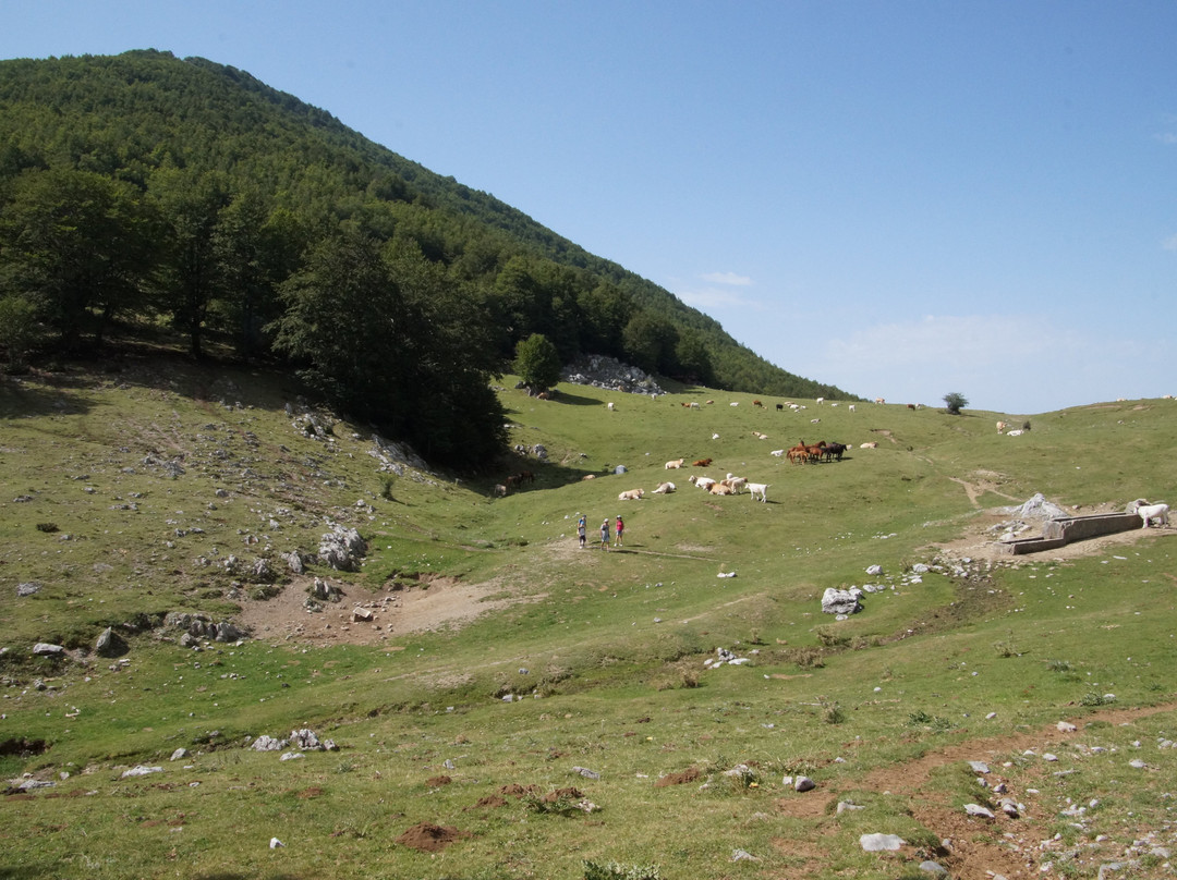 Piano del Gaudolino-Viggianello必去景点