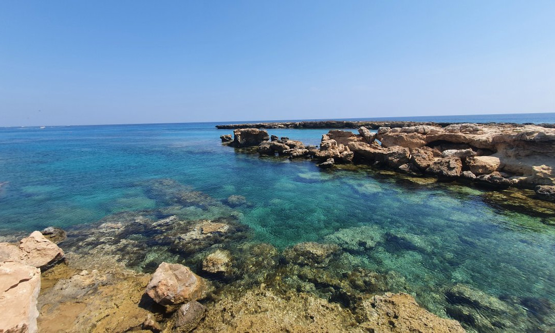 Reef Junkies景点图片