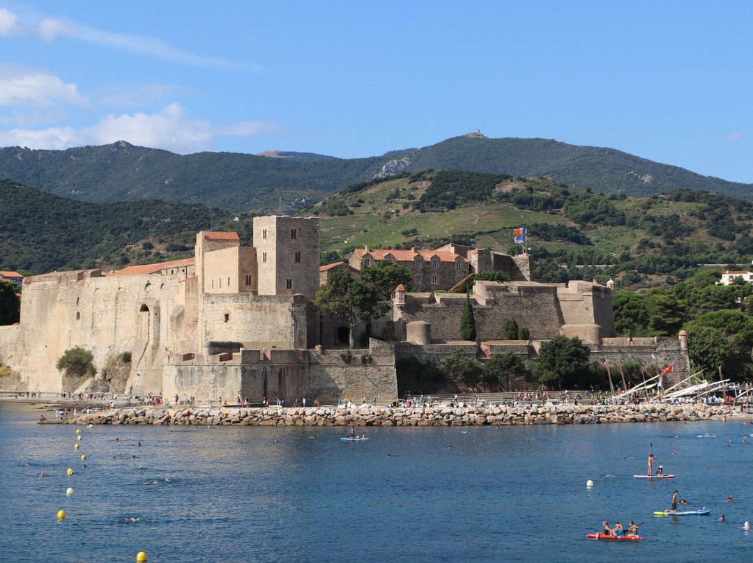 Phare de Collioure景点图片