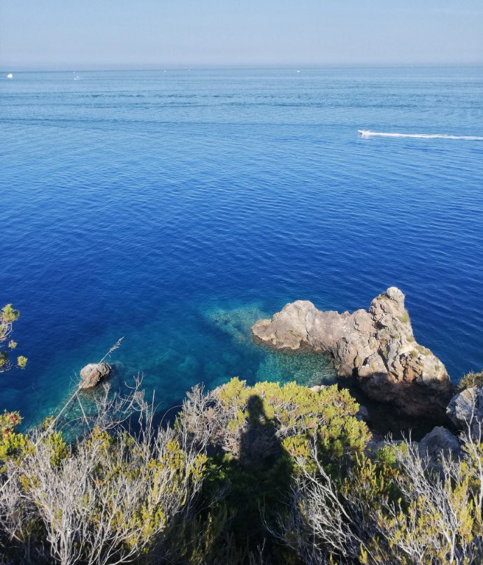 Cala La Cacciarella景点图片