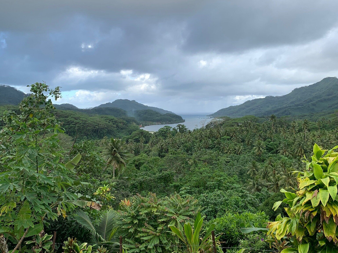Tahaa Tour Excursion-塔哈岛必去景点