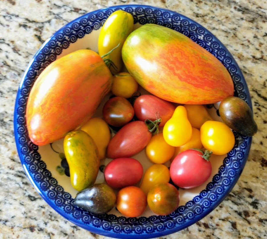 Rainbow Tomatoes Garden景点图片