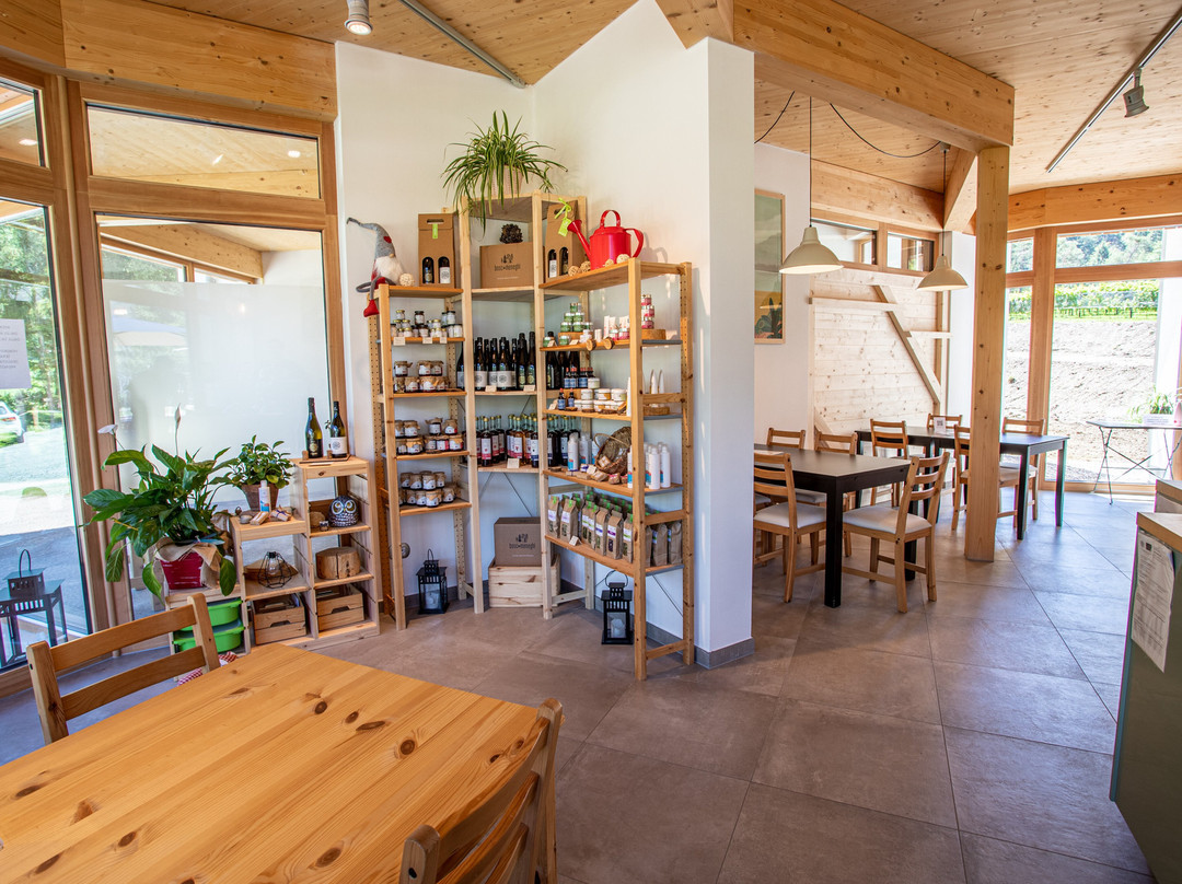 Azienda Agricola Bosc del Meneghi-Molina di Ledro必去景点