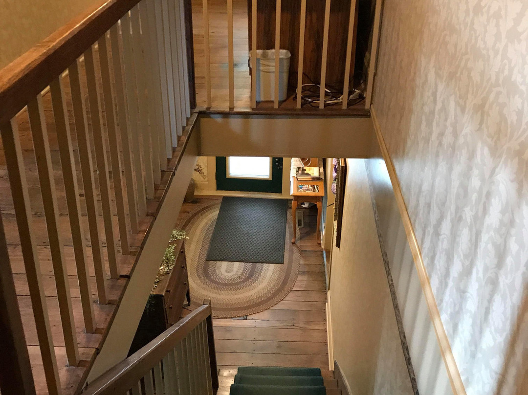 The Grapevine House Bed and Breakfast主图