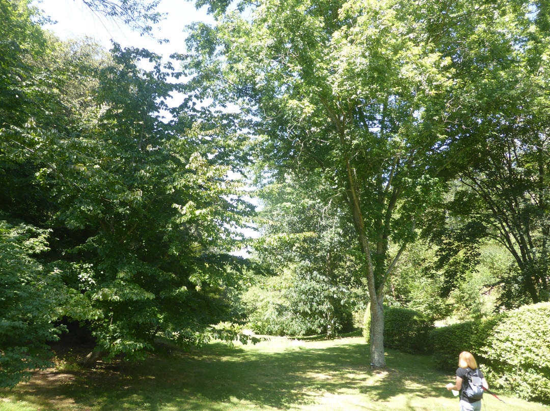 Arboretum De La Sedelle景点图片