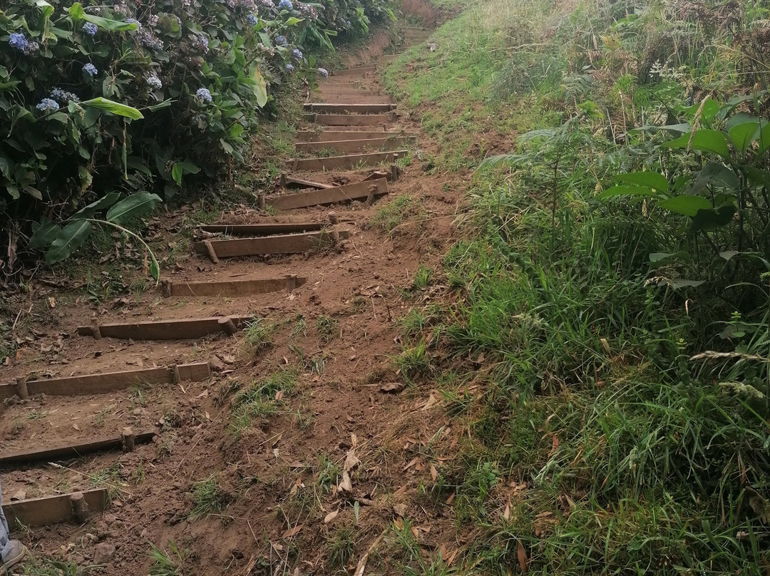 Trilho do Pico Queimado-大里贝拉必去景点