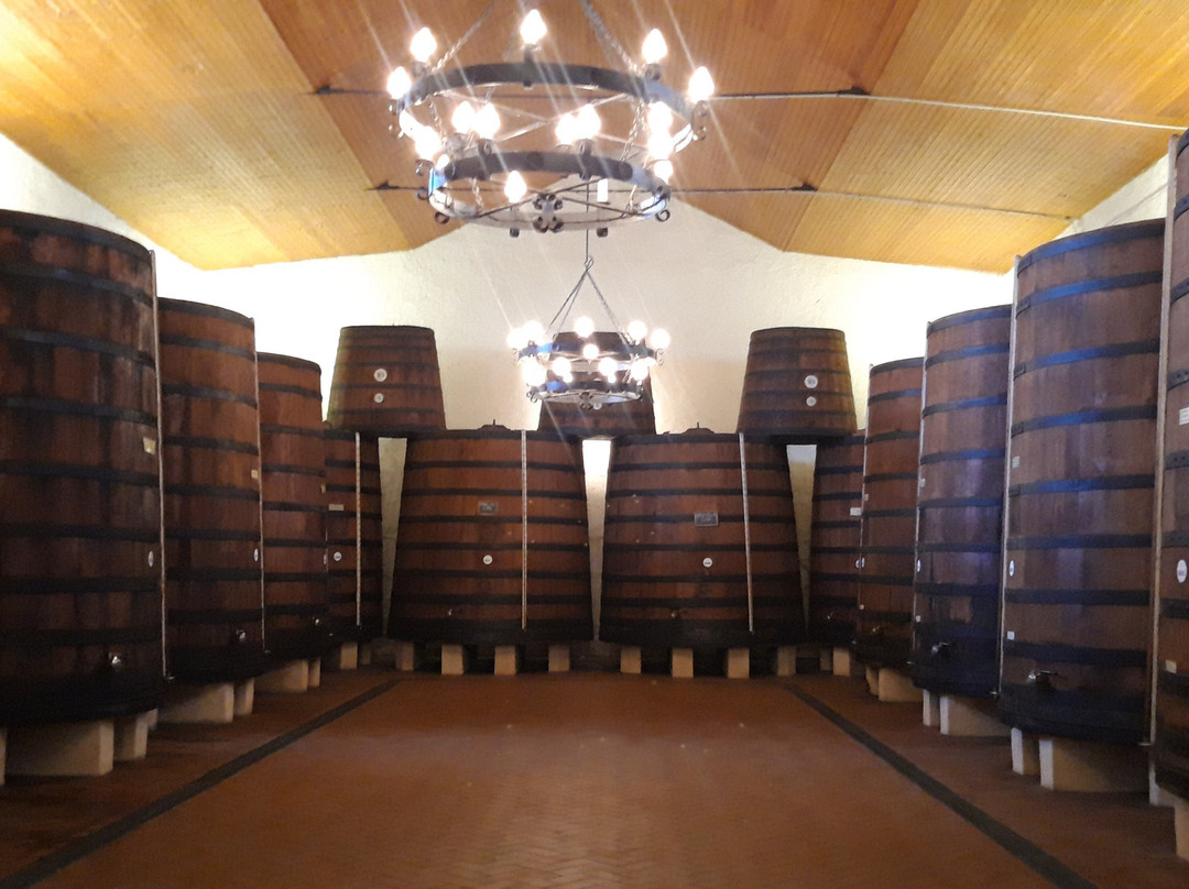 CANTINA MARTINEZ dal 1866-马尔萨拉必去景点
