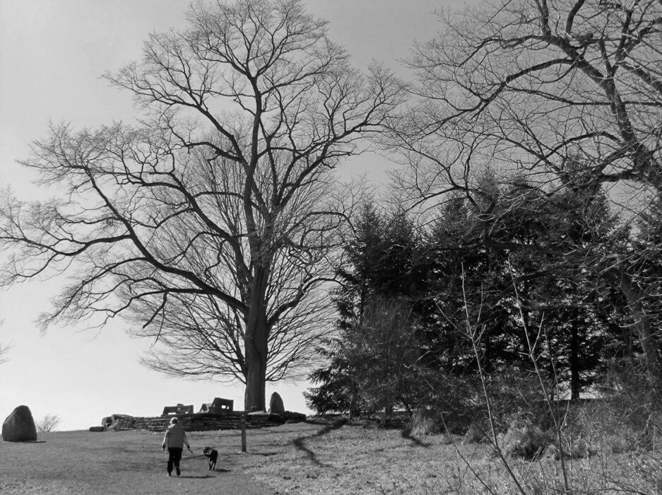 Allardale-Medina必去景点