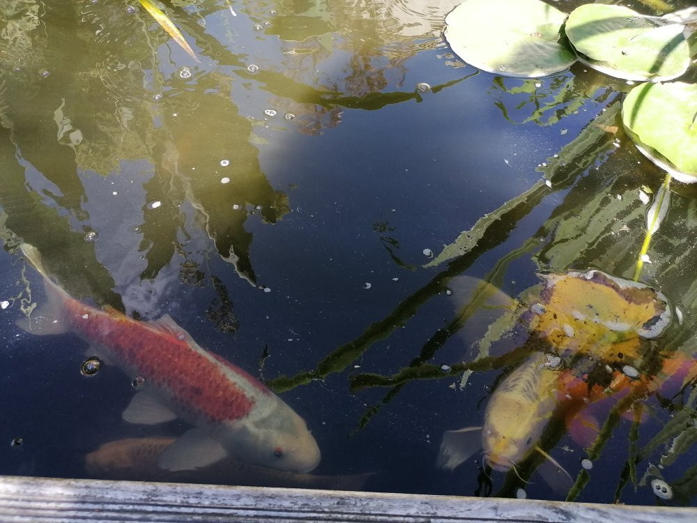 Le Jardin du Hameau de Lopriac景点图片