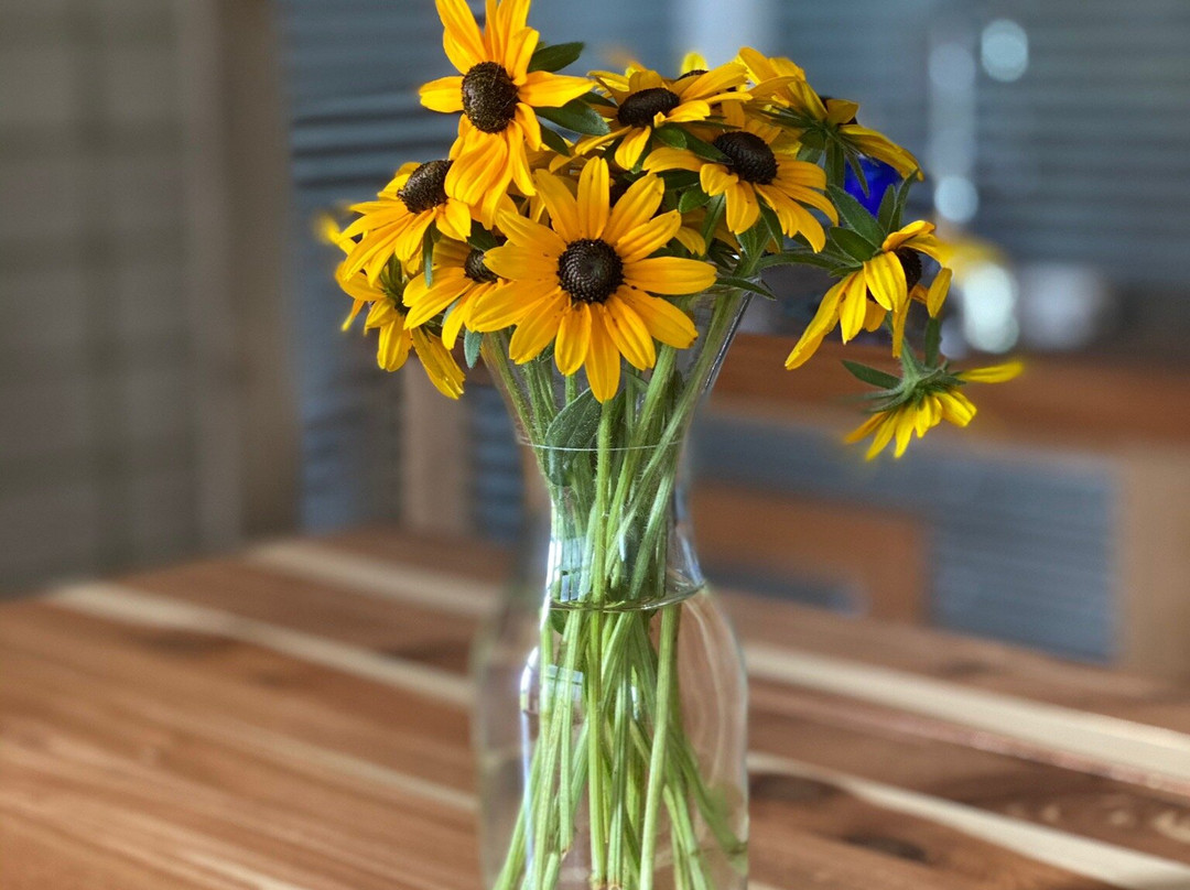 Farmer and Frenchman Winery-Henderson必去景点