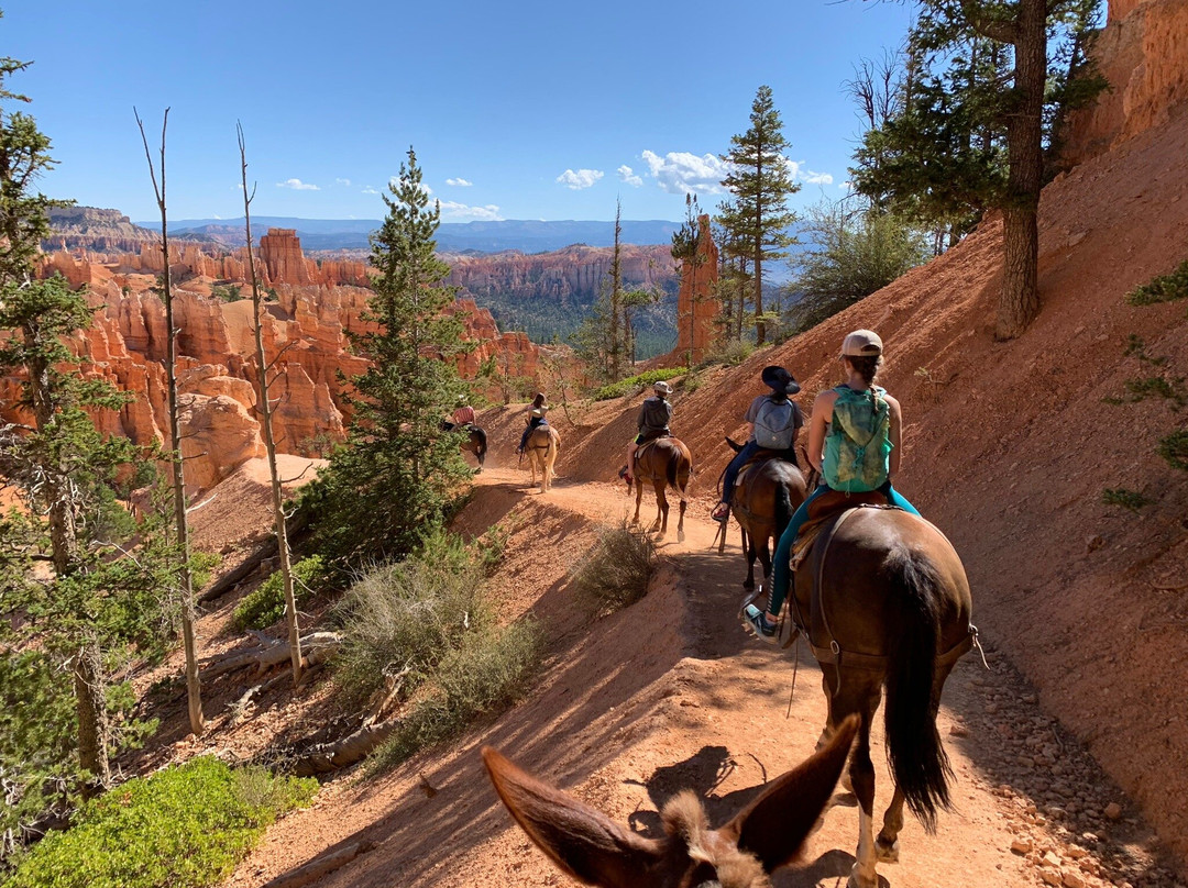 Ruby's Horseback Adventures-布莱斯必去景点