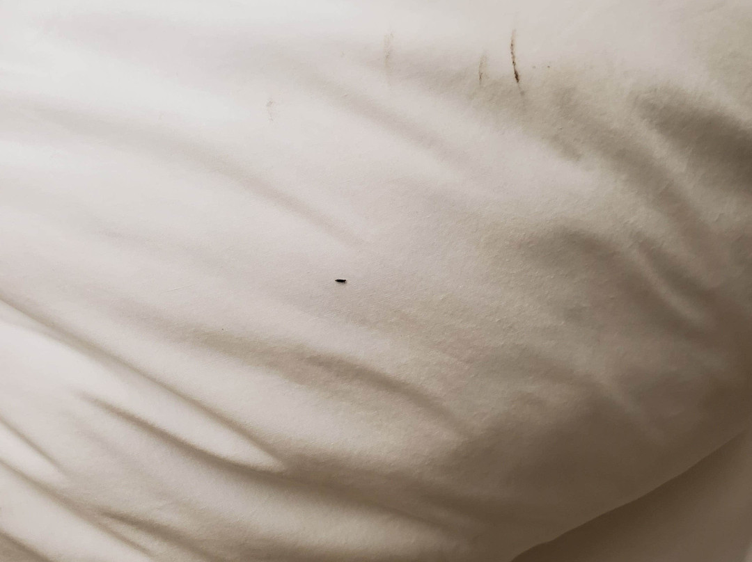 Microtel Inn & Suites by Wyndham Daphne/Mobile主图