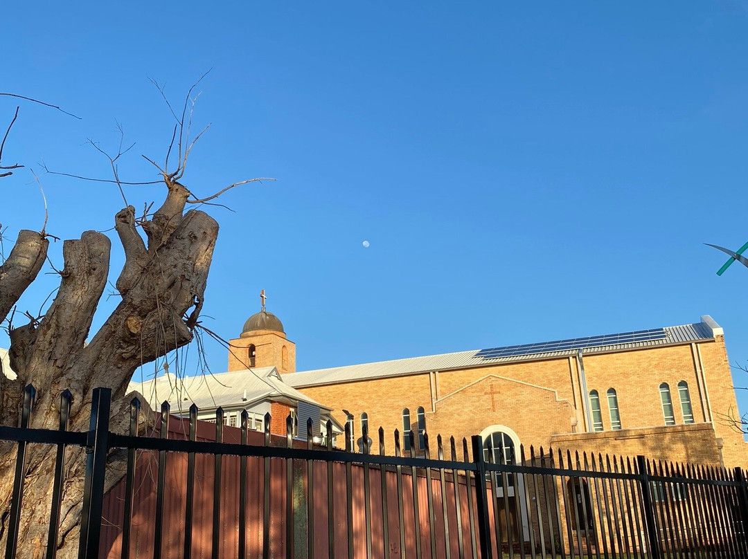 Mid City Motor Inn主图