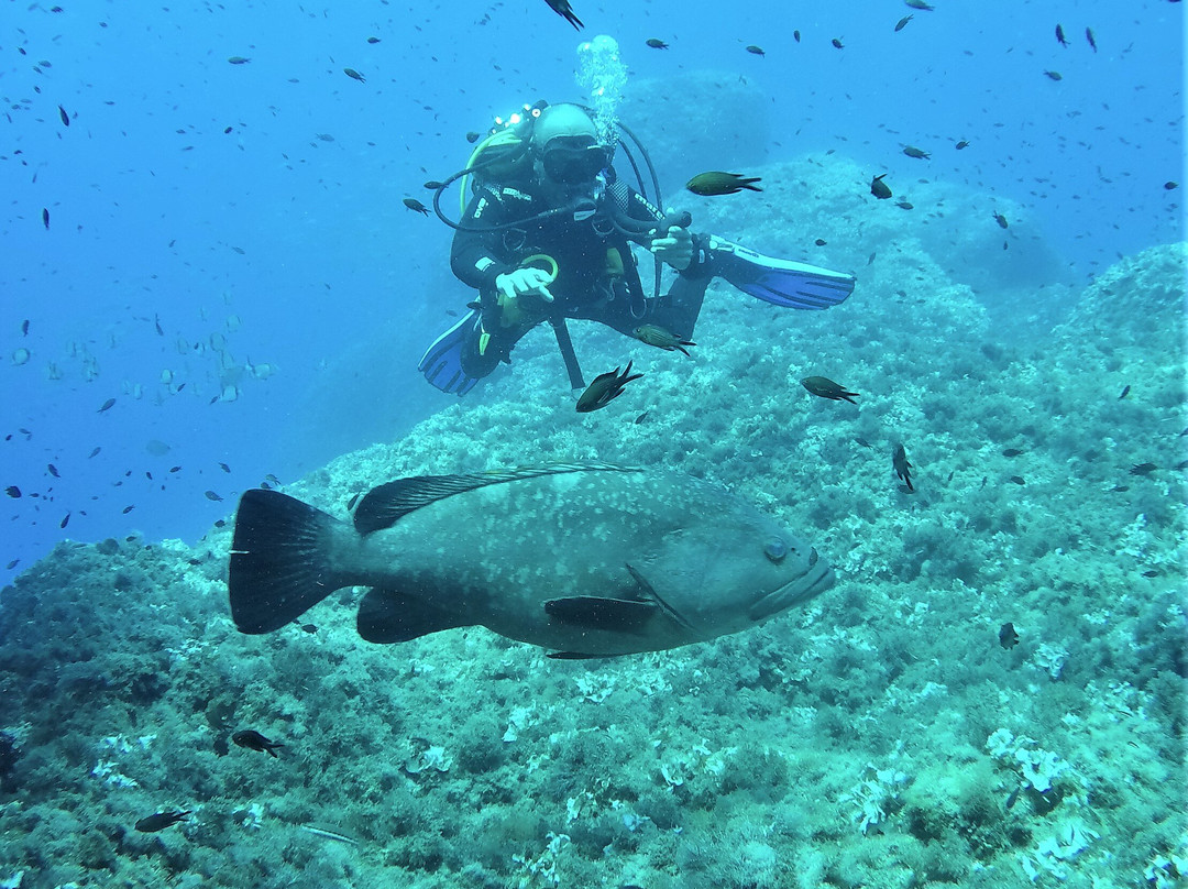 Style Diving-拉帕洛必去景点