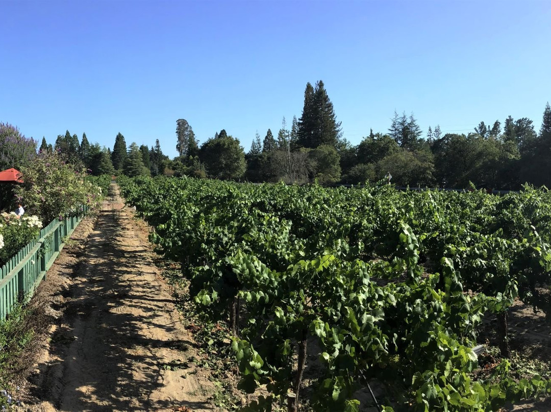 Dutton Estate Winery景点图片