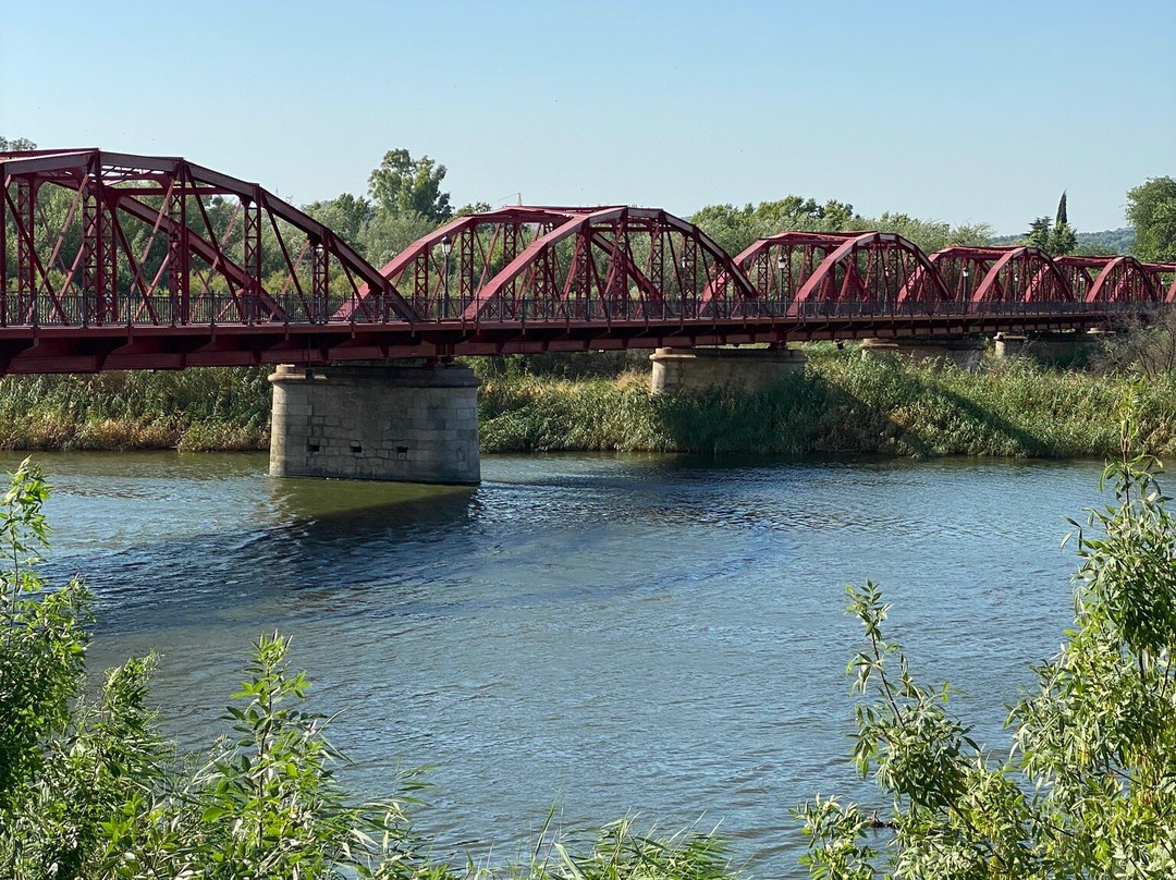 Puente de Hierro-塔拉韦拉-德拉雷纳必去景点