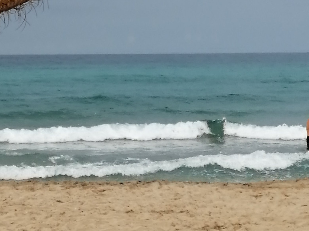 Agua Beach景点图片