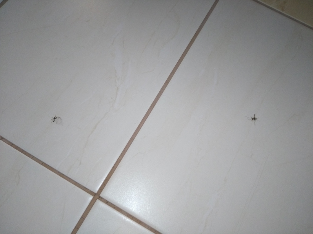 Hotel Dwa Ksiezyce主图