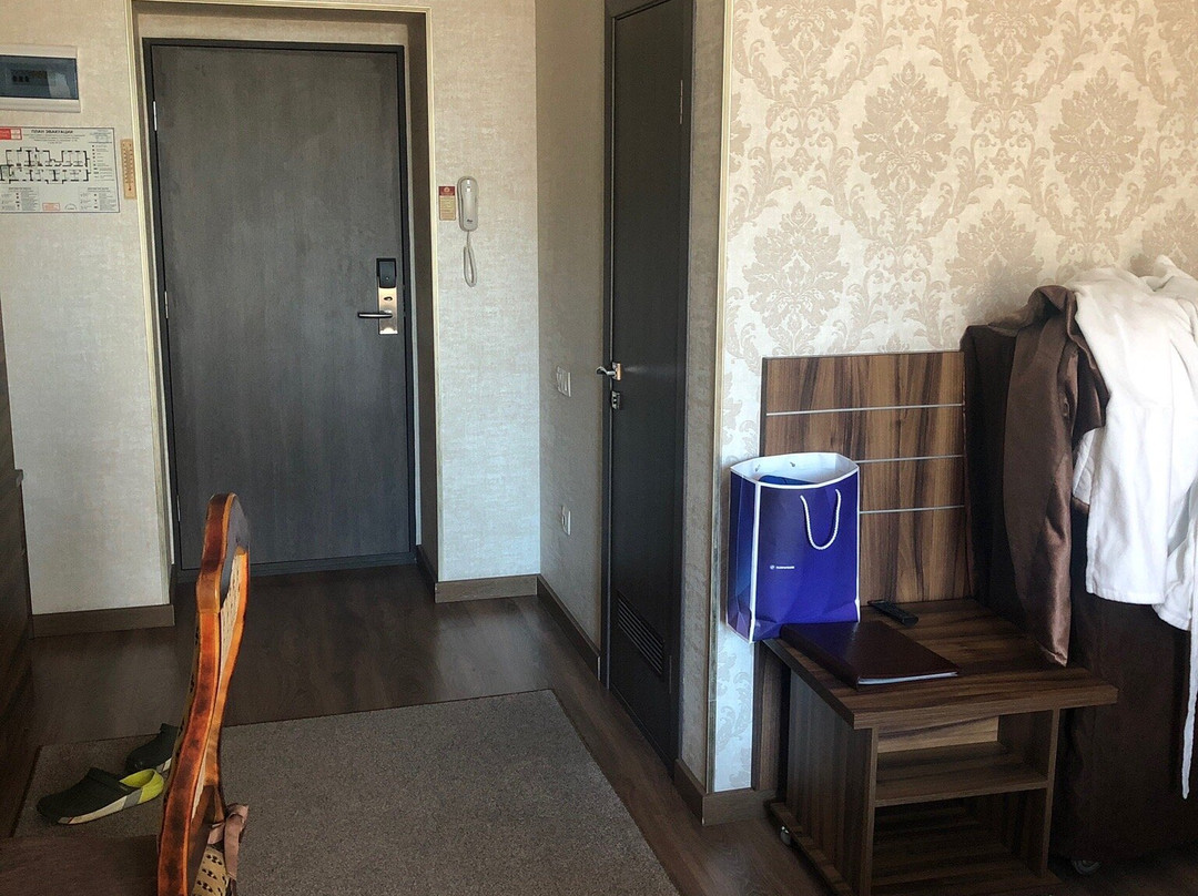 Hotel Petrovskiy主图