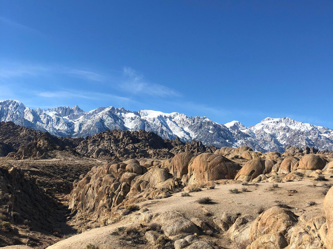 Winnedumah Hotel主图