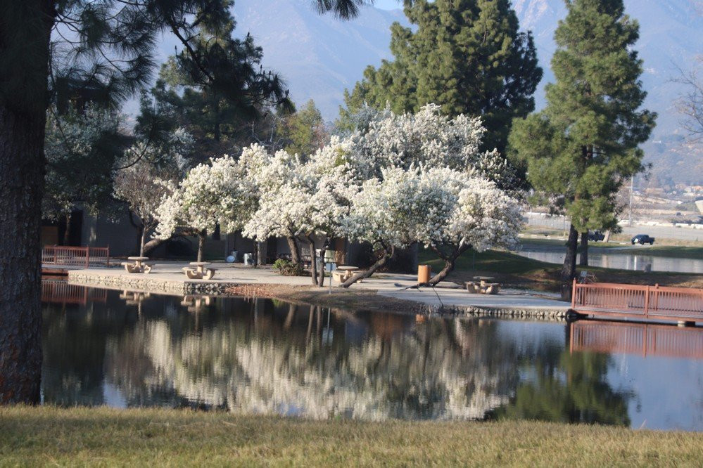 Glen Helen Regional Park-圣贝纳迪诺必去景点