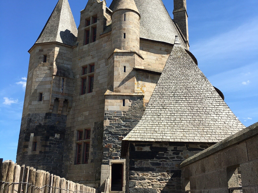 Chateau de Vitre景点图片