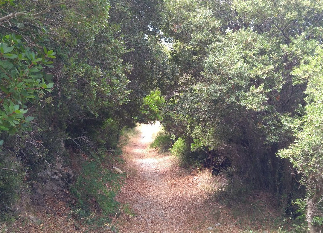 Paralia Mikros Mourtias景点图片