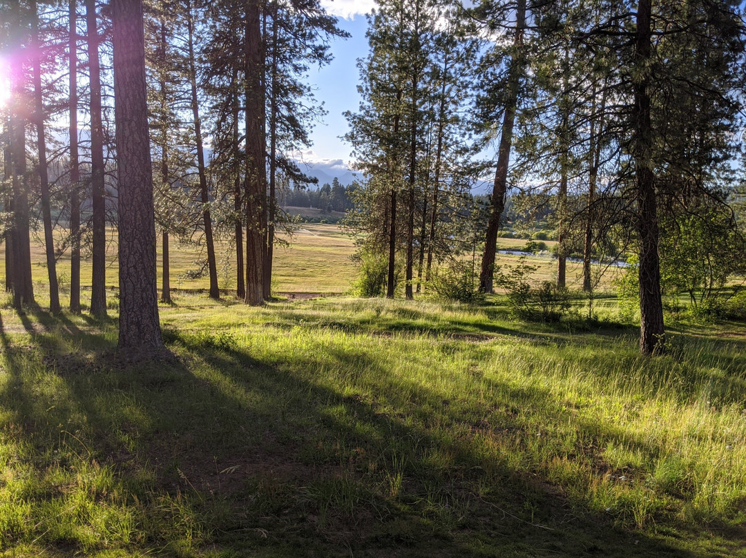 House on Metolius主图