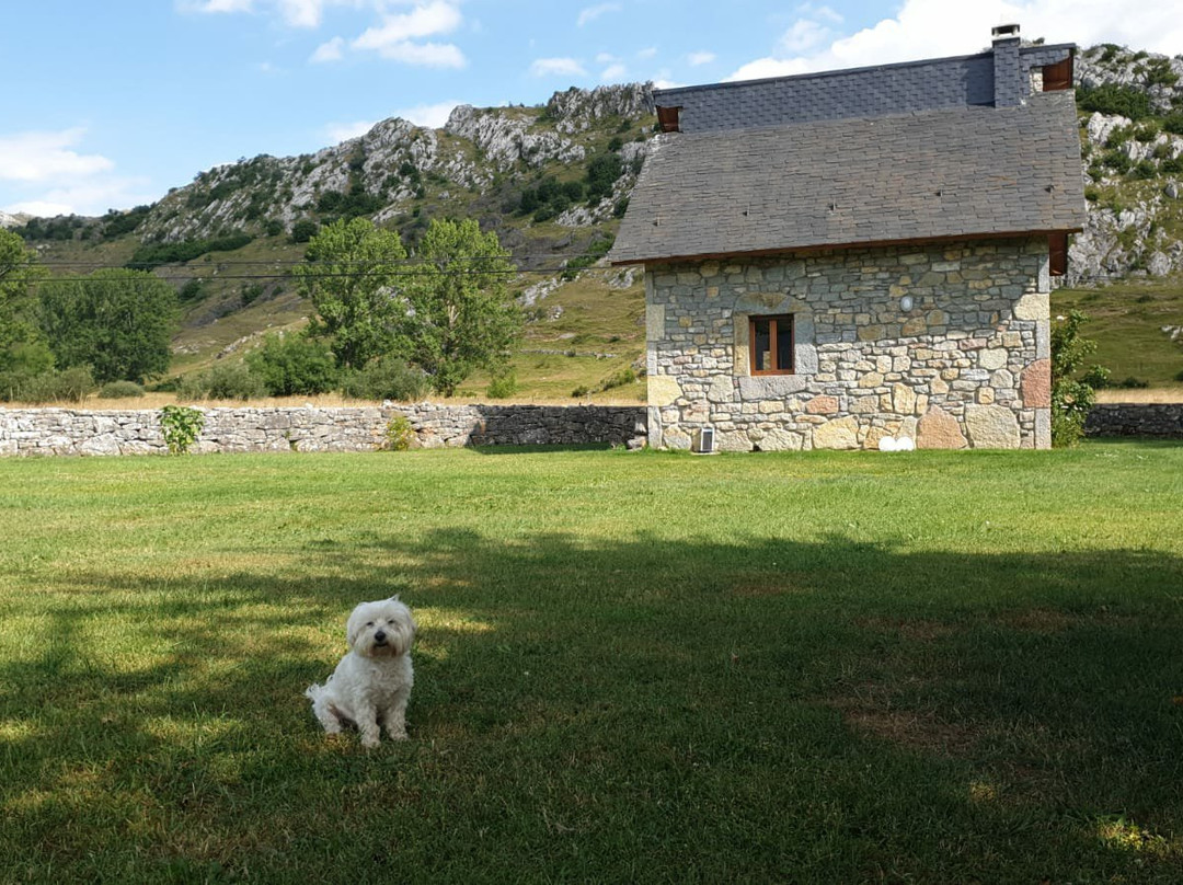 La Lecheria de Babia主图