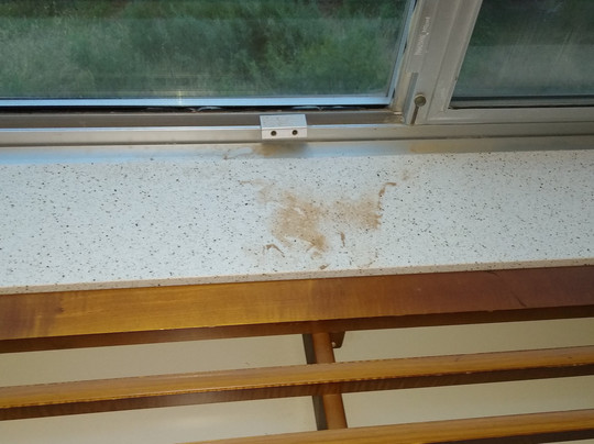 SpringHill Suites by Marriott San Angelo主图