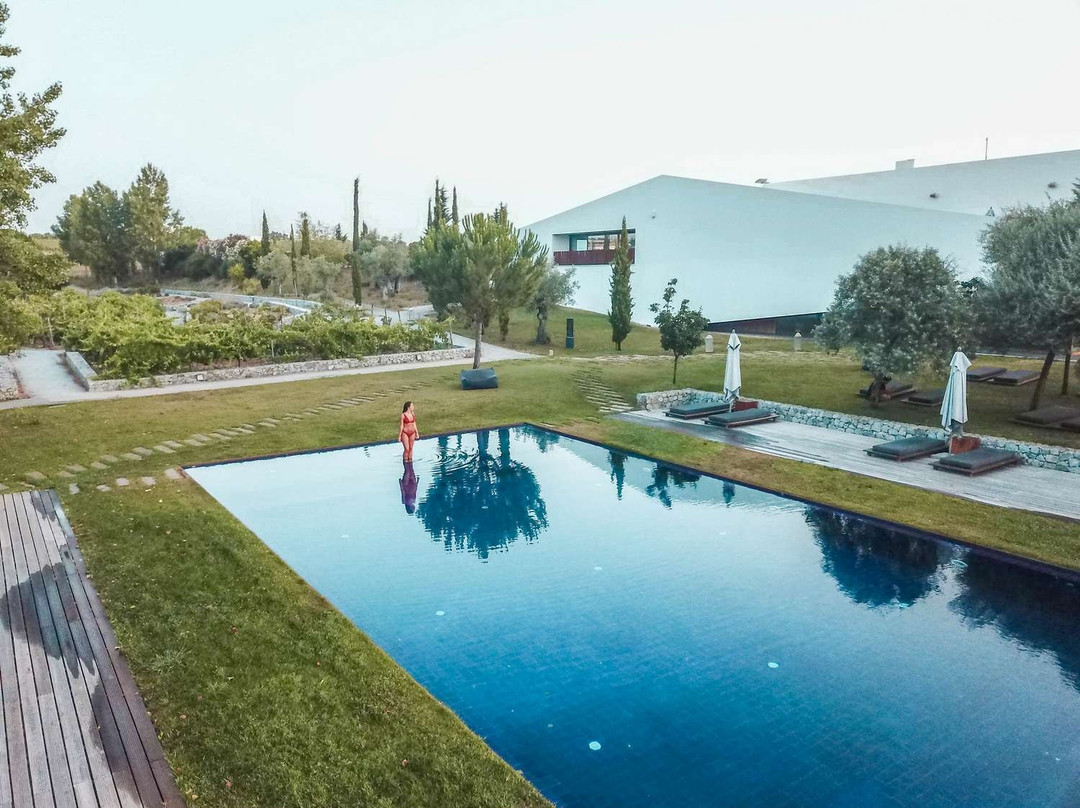 L'AND Vineyards主图