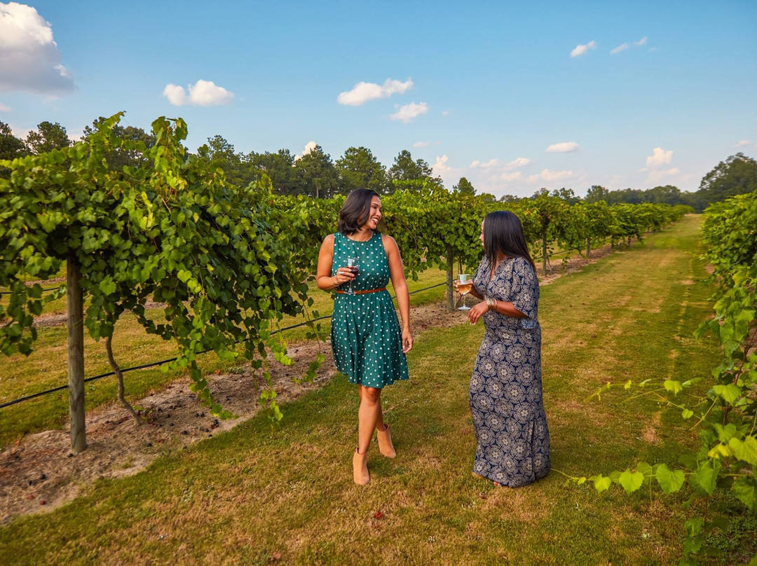 Wolf Creek Plantation Winery-Americus必去景点