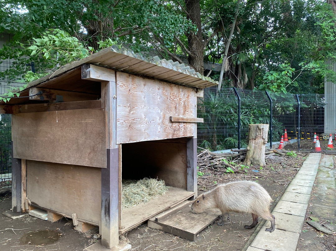 Omiya Park Zoo-埼玉市必去景点