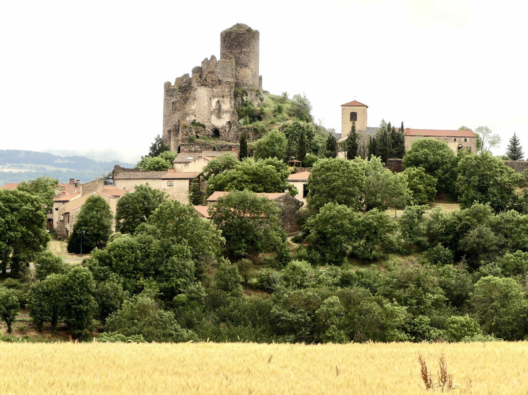 Le Moulin du Bateau主图