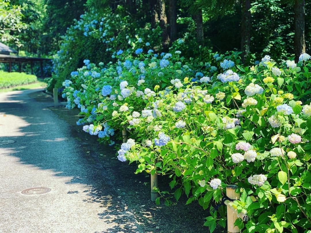 Bihoku Hillside Park-庄原市必去景点