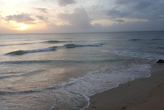 Brandon Tour's Tobago-克朗波因特必去景点