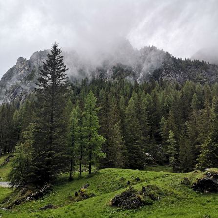 Rifugio Passo Staulanza-portrait