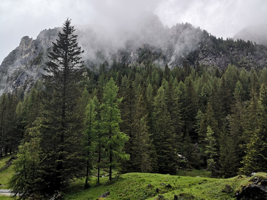 Rifugio Passo Staulanza主图