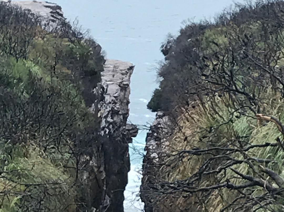 Cape Solander景点图片