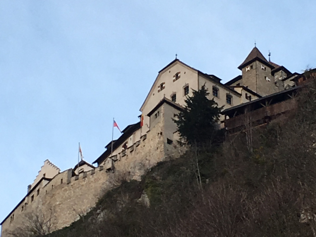 Vaduz Castle景点图片