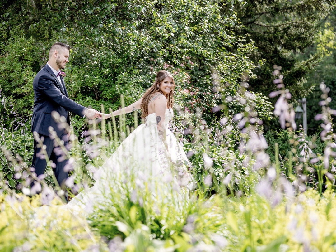 Summit Lodge & Resort主图