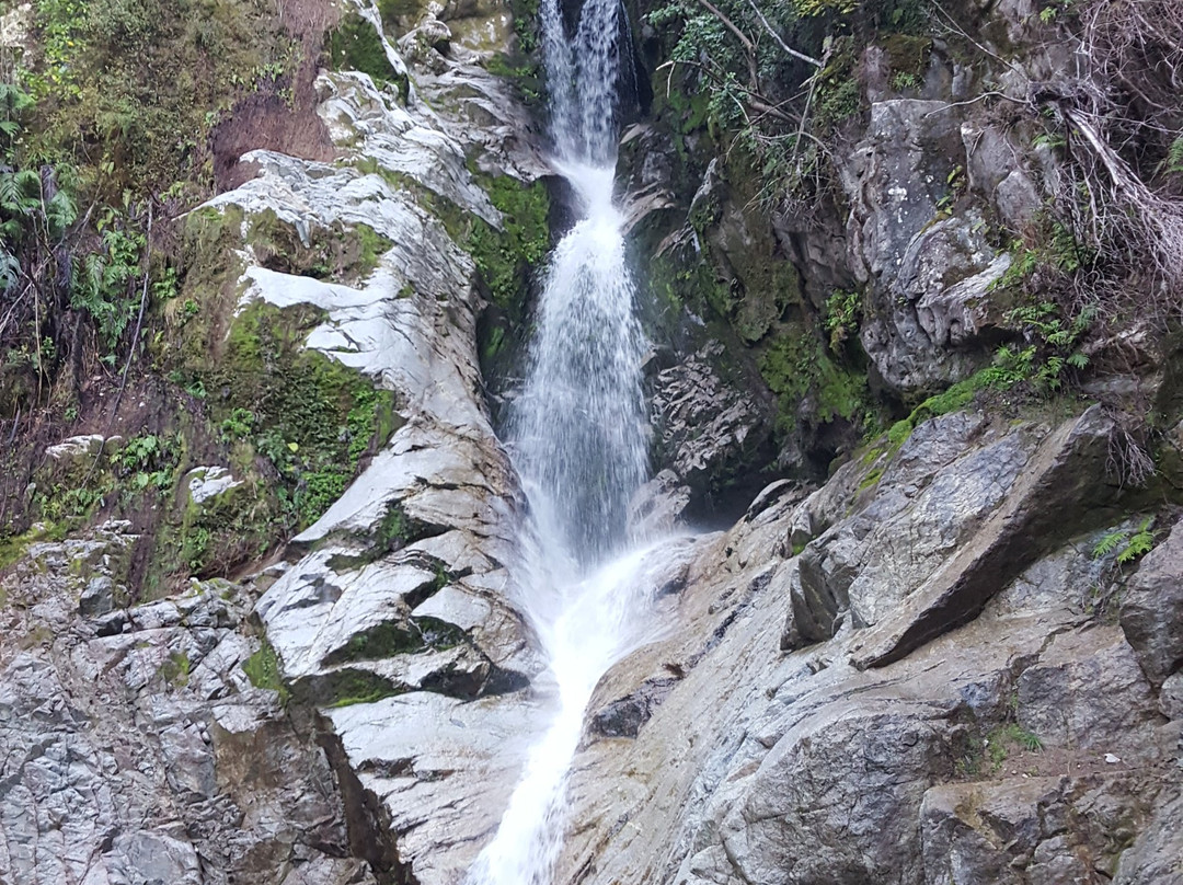 Dorothy Falls-霍基蒂卡必去景点